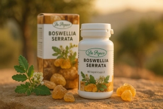 Boswellia Serrata - Kadidlovník , 60 kapslí Dr. Popov