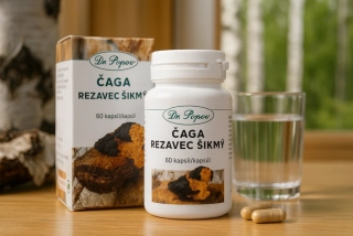 Čaga-Rezavec šikmý , 60 kapslí Dr. Popov